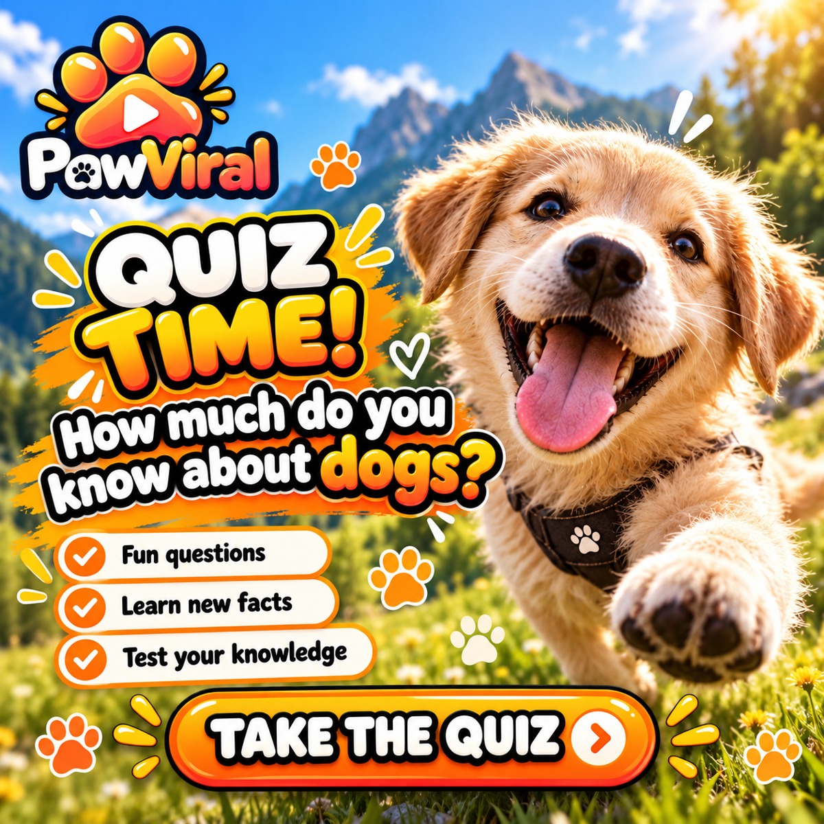 PawViral image for How Dog Savvy Are You?