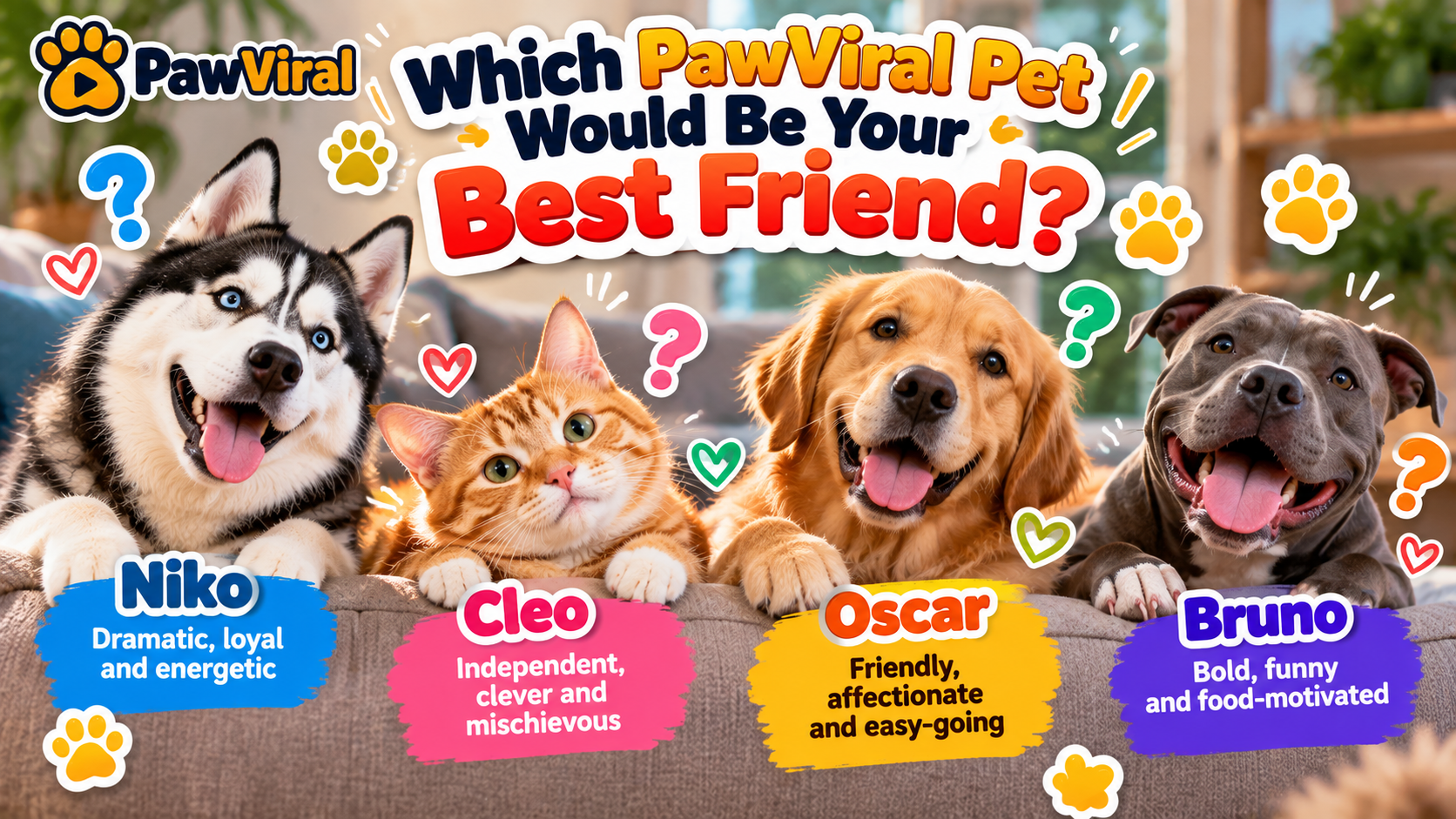 Niko, Cleo, Oscar and Bruno for the PawViral best friend personality quiz